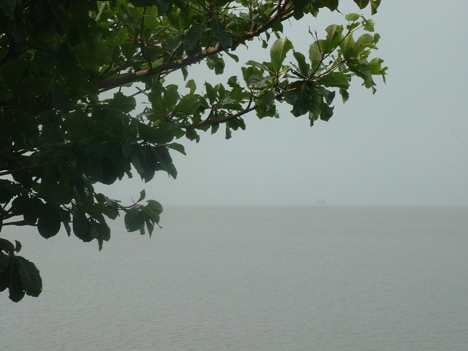 Embouchure du Wouri (Douala)
