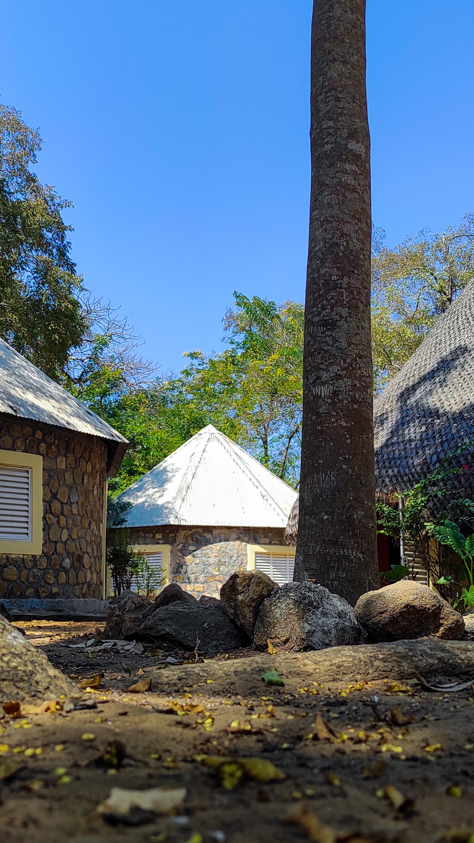 Parc National de Bouba Ndjida