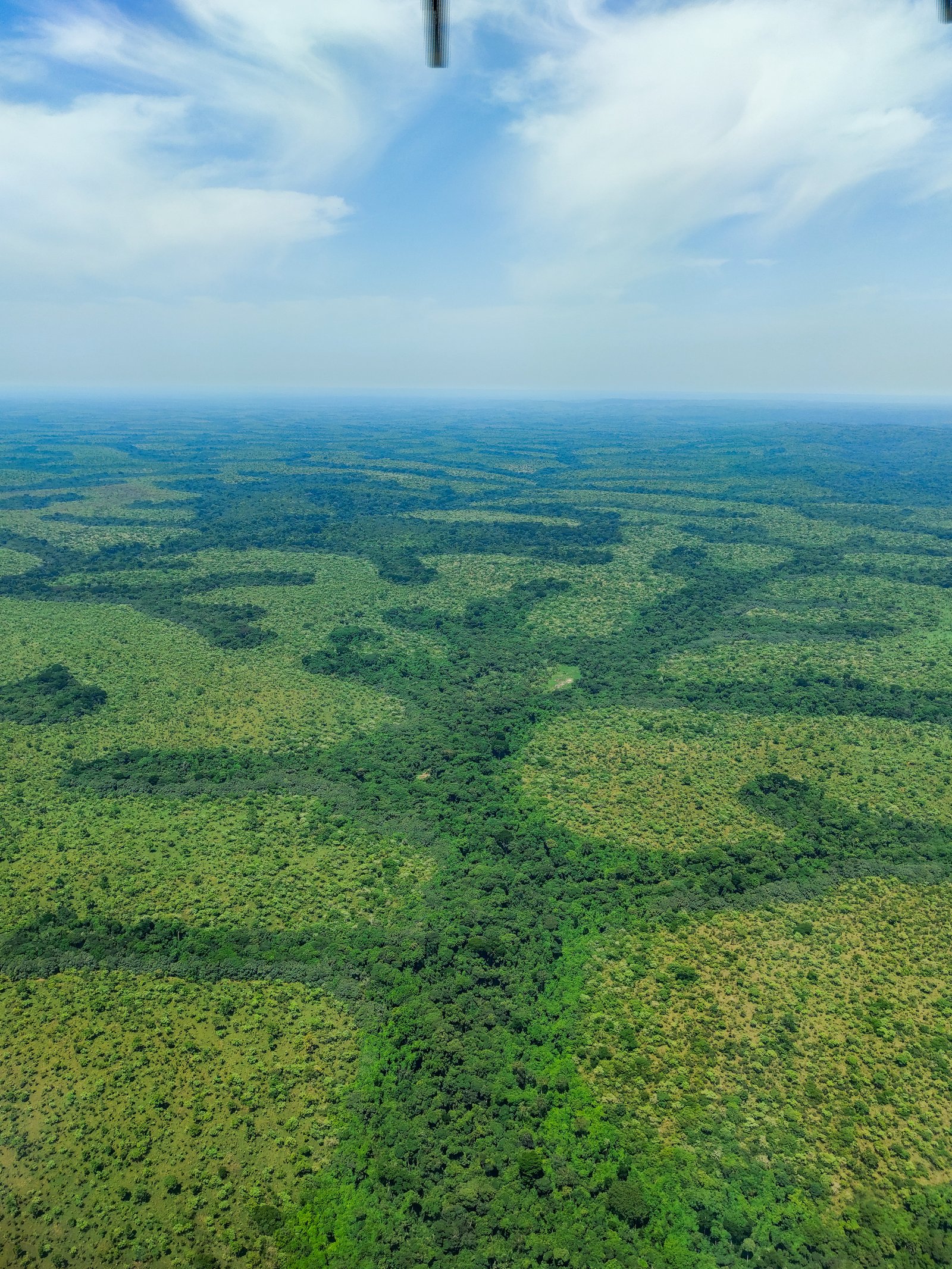 Parc National du Mbam et Djerem