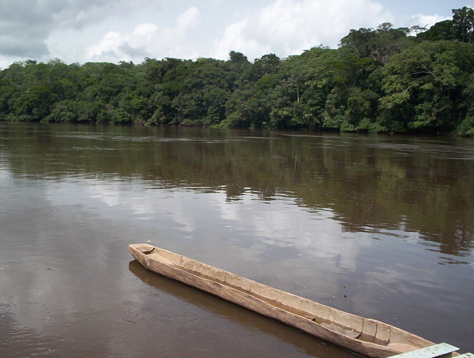 Rive du Dja