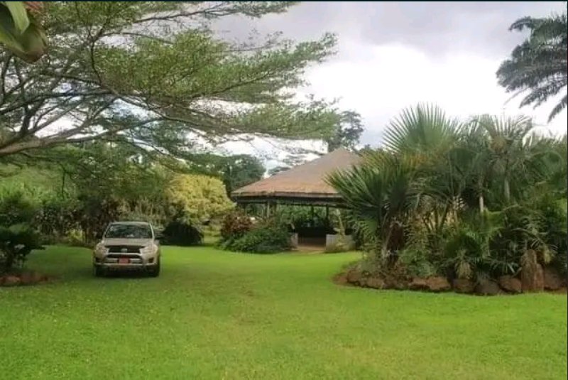 Village Madiba
